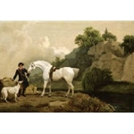 A Grey Hunter with a Groom and a Greyhound at Creswell Crags circa 1762-4 , George Stubbs (1724-1806)
