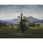 Solitary Tree , 1821; Caspar David Friedrich
