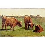 Study of Three Cows