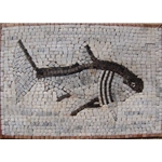 Fish Mosaic - MA192