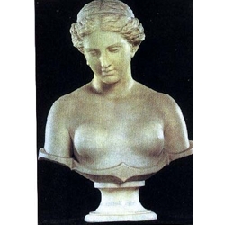 Busts Marble - T158