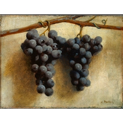 S Joseph Decker Grapes