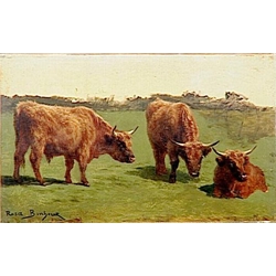 Study of Three Cows