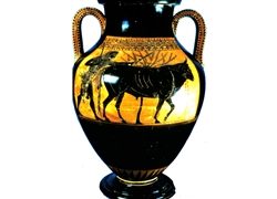Belly Amphora Herakles Drives a Bull to Sacrifice